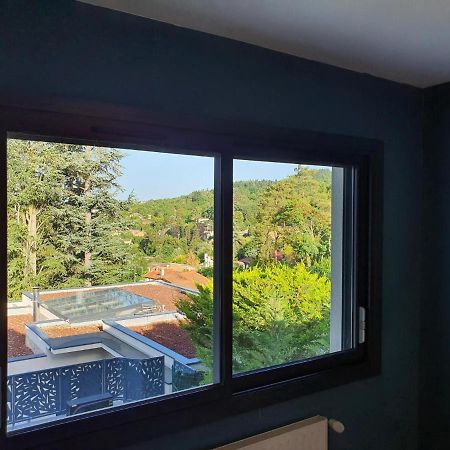 Studio Meuble Saint-Cyr-Au-Mont-D'Or Eksteriør bilde